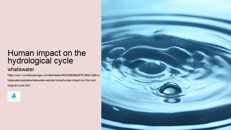 Human impact on the hydrological cycle